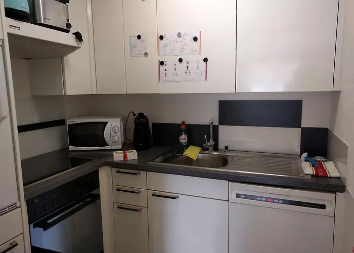 - Swimming Pool Available 公寓式酒店 达沃斯